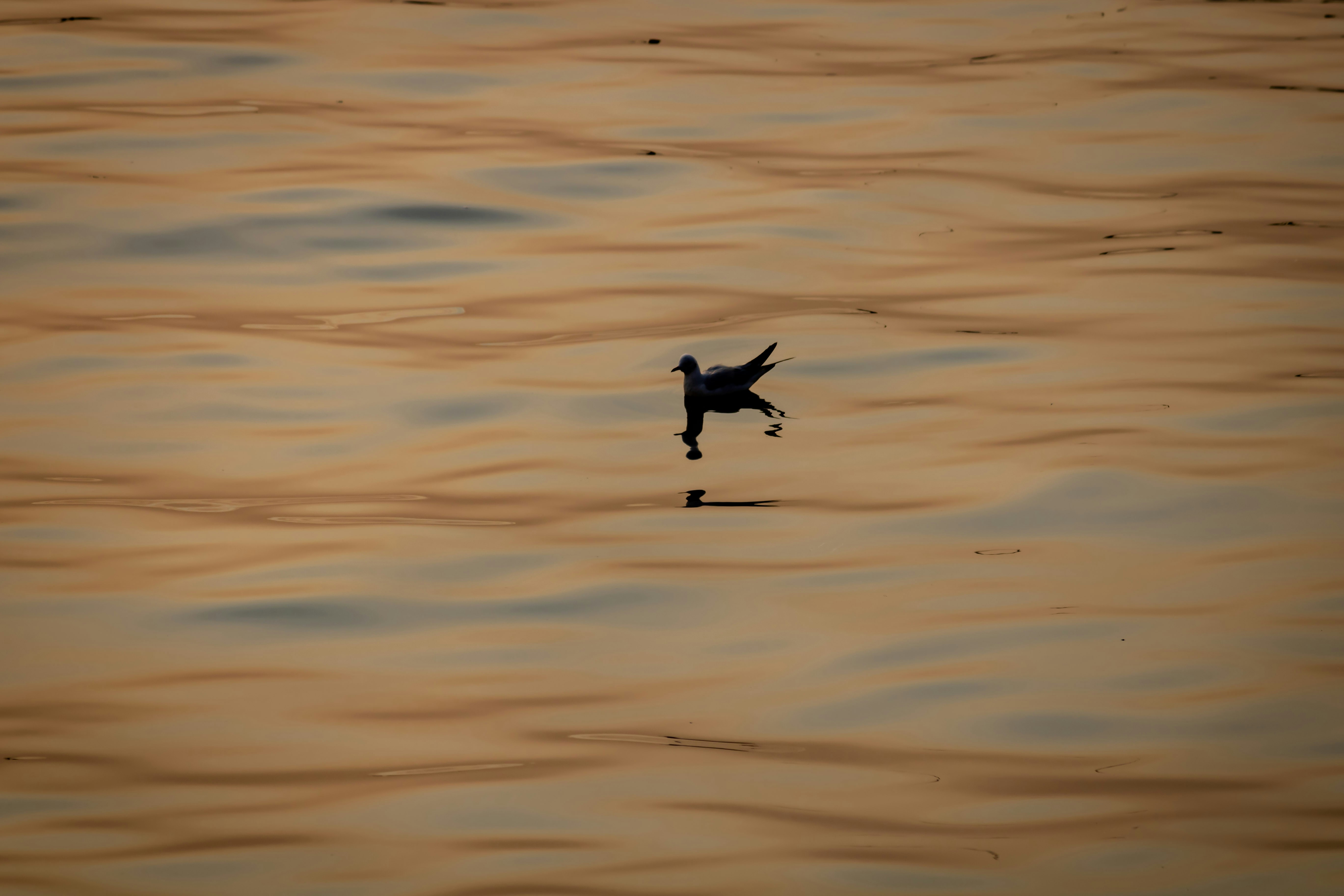 Photo by _nairgraphy