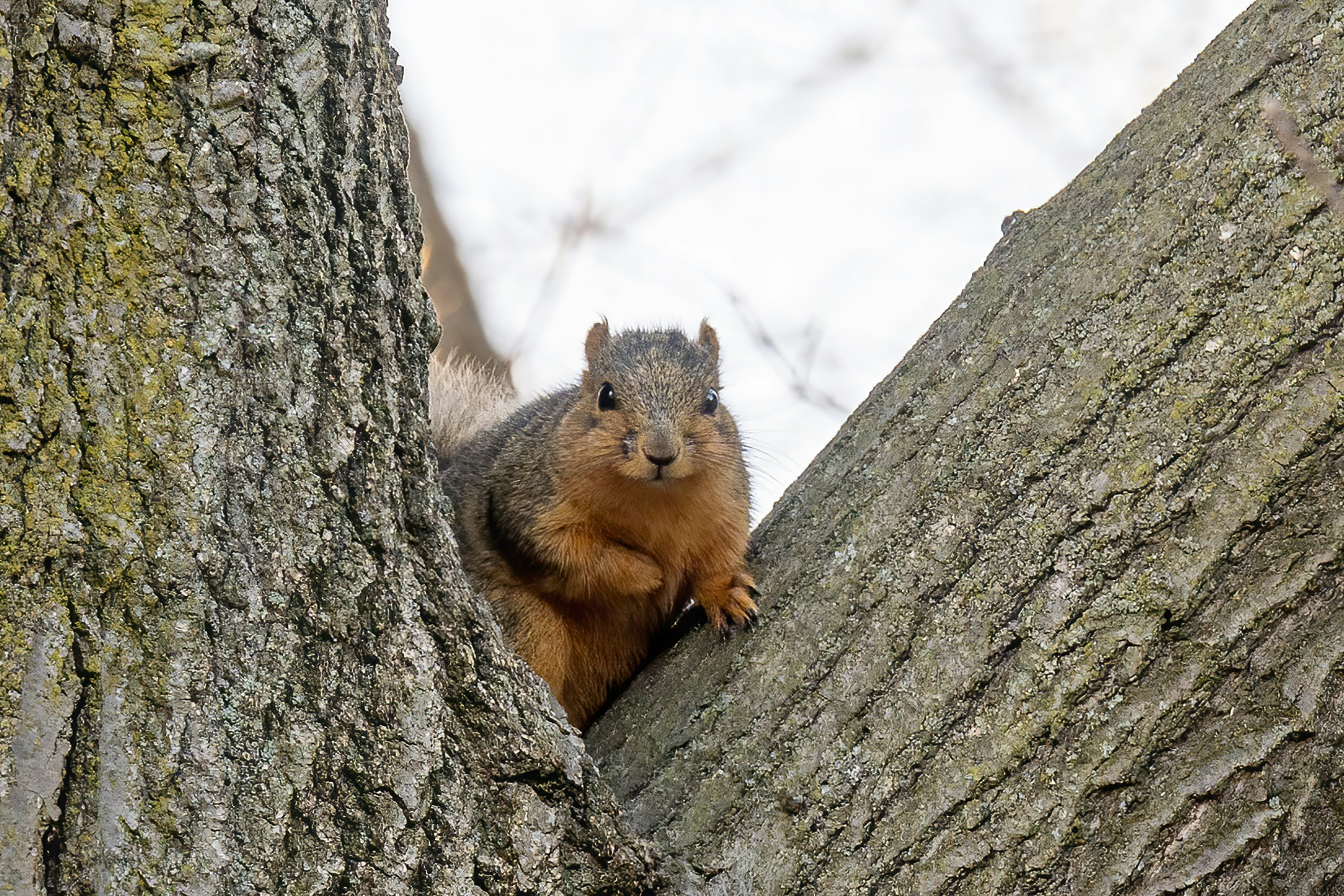 Photo by cholewinski