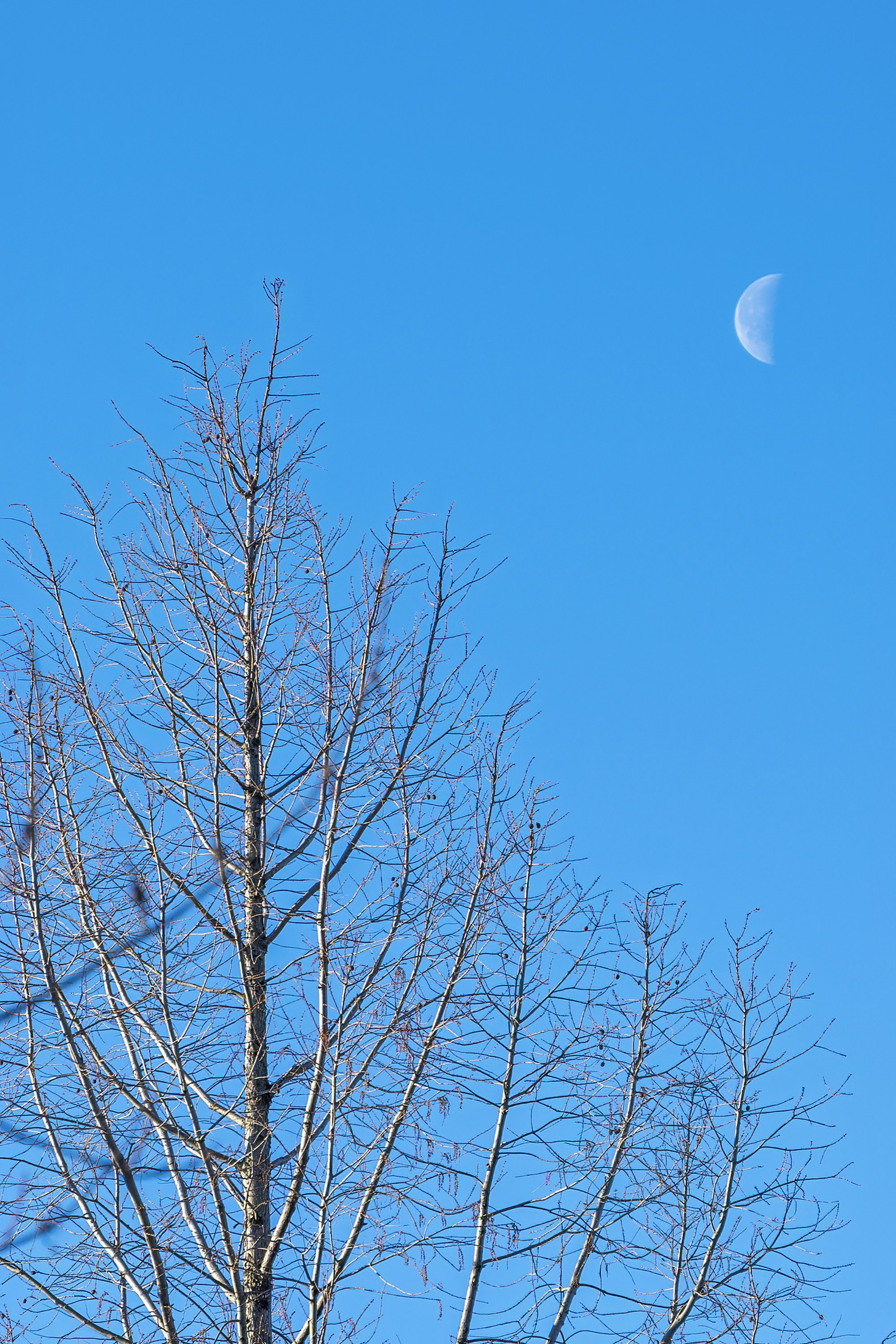 Photo by cholewinski