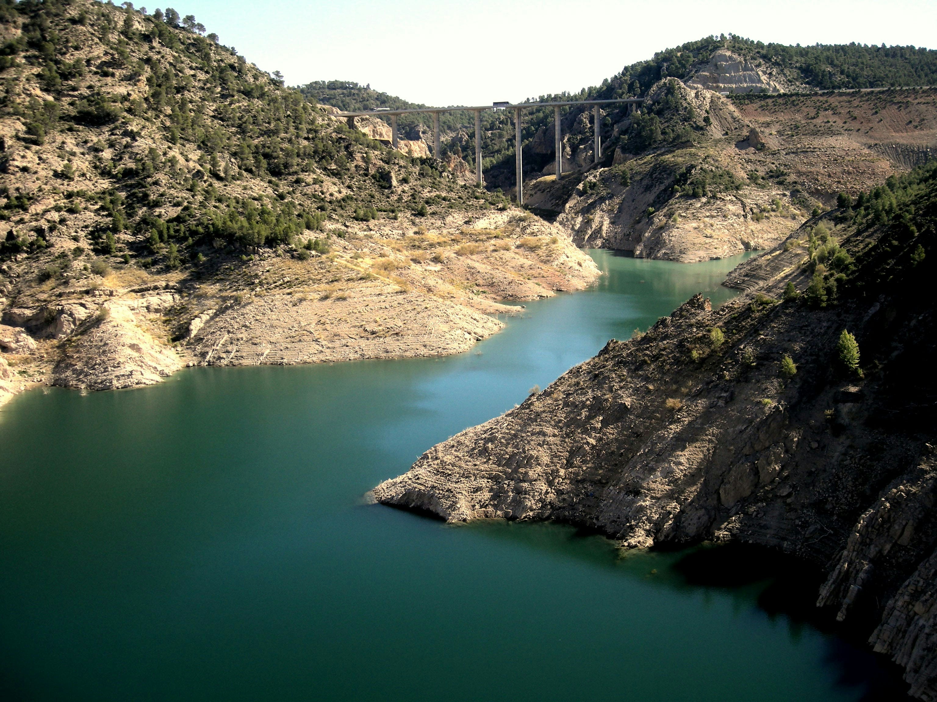 Photo by wiltonbseltd