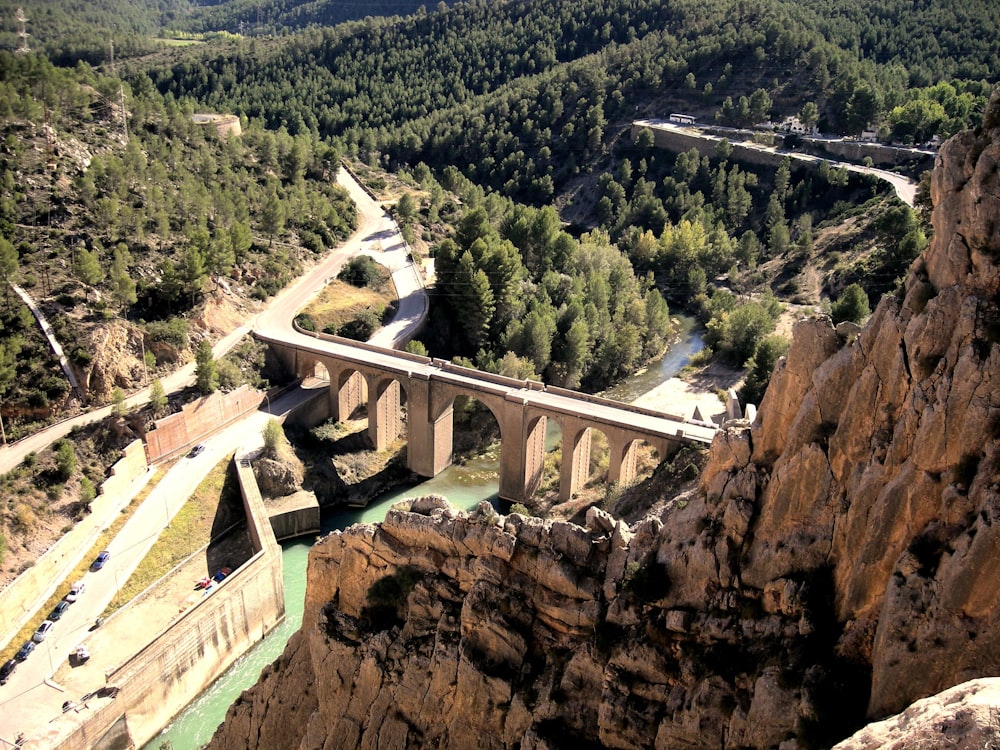 aerial view of green trees and brown concrete bridge