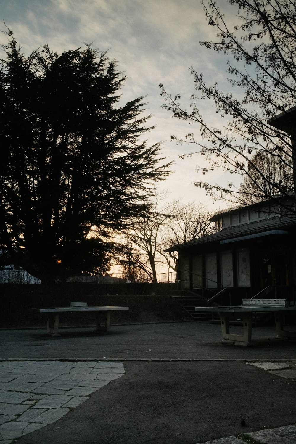 brown wooden bench near trees during daytime