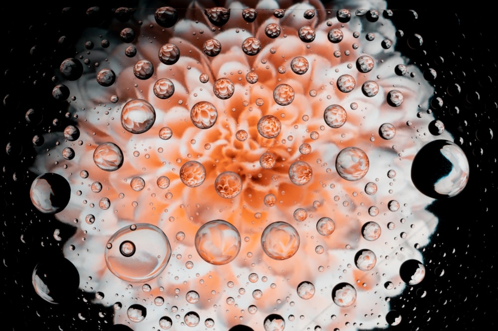 water droplets on glass window