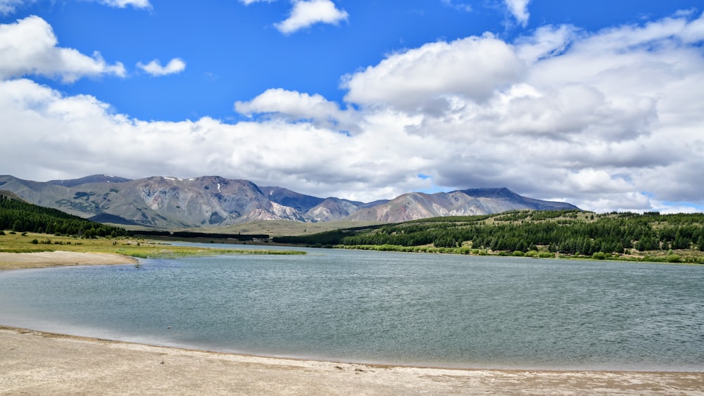 昼間の青空の下の水域の近くの緑の山