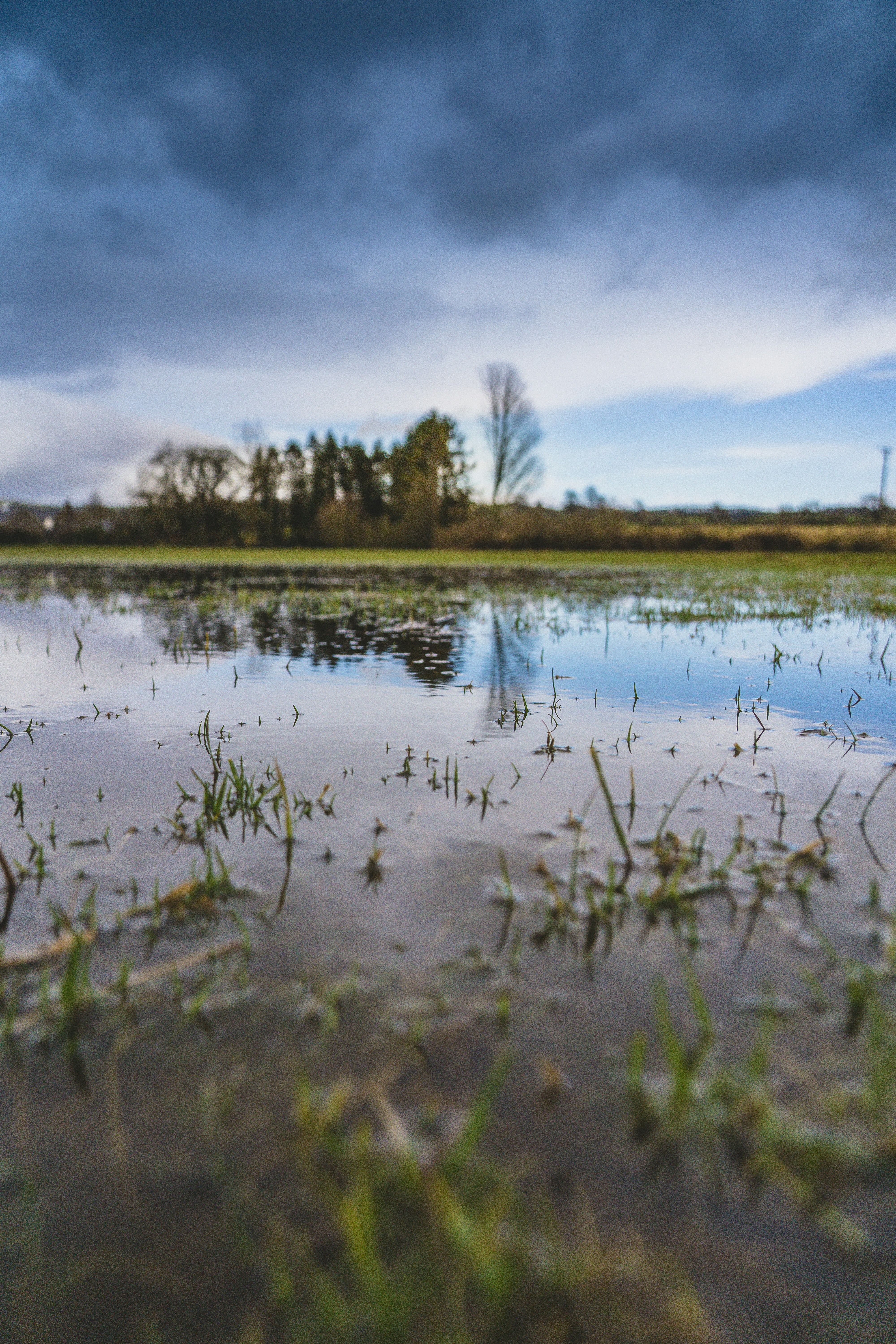 Le marais des Tortus Prés - Présentation