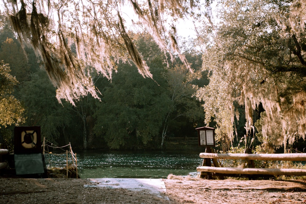 brown wooden bench near river