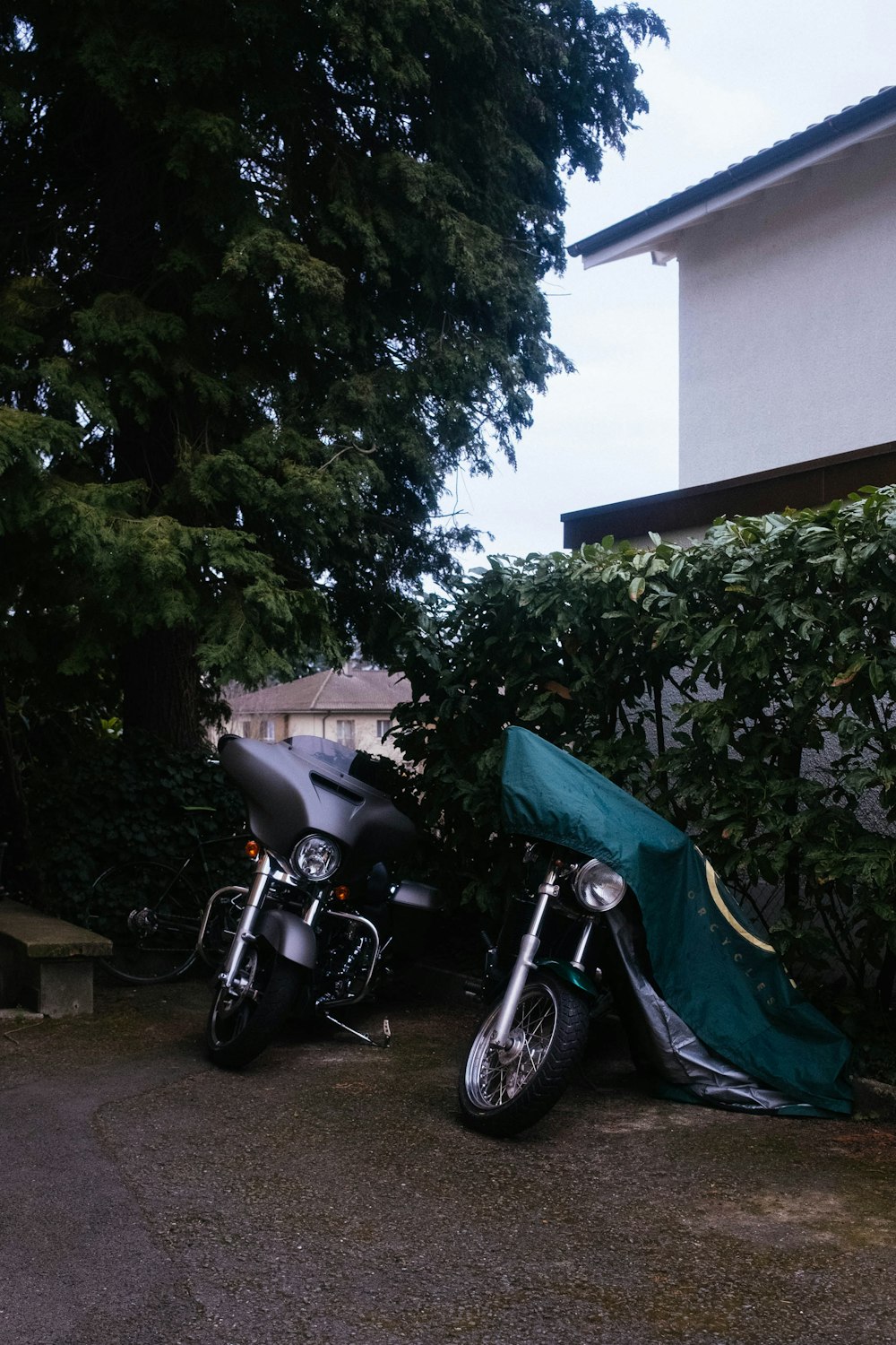 black and gray motorcycle parked beside green tree