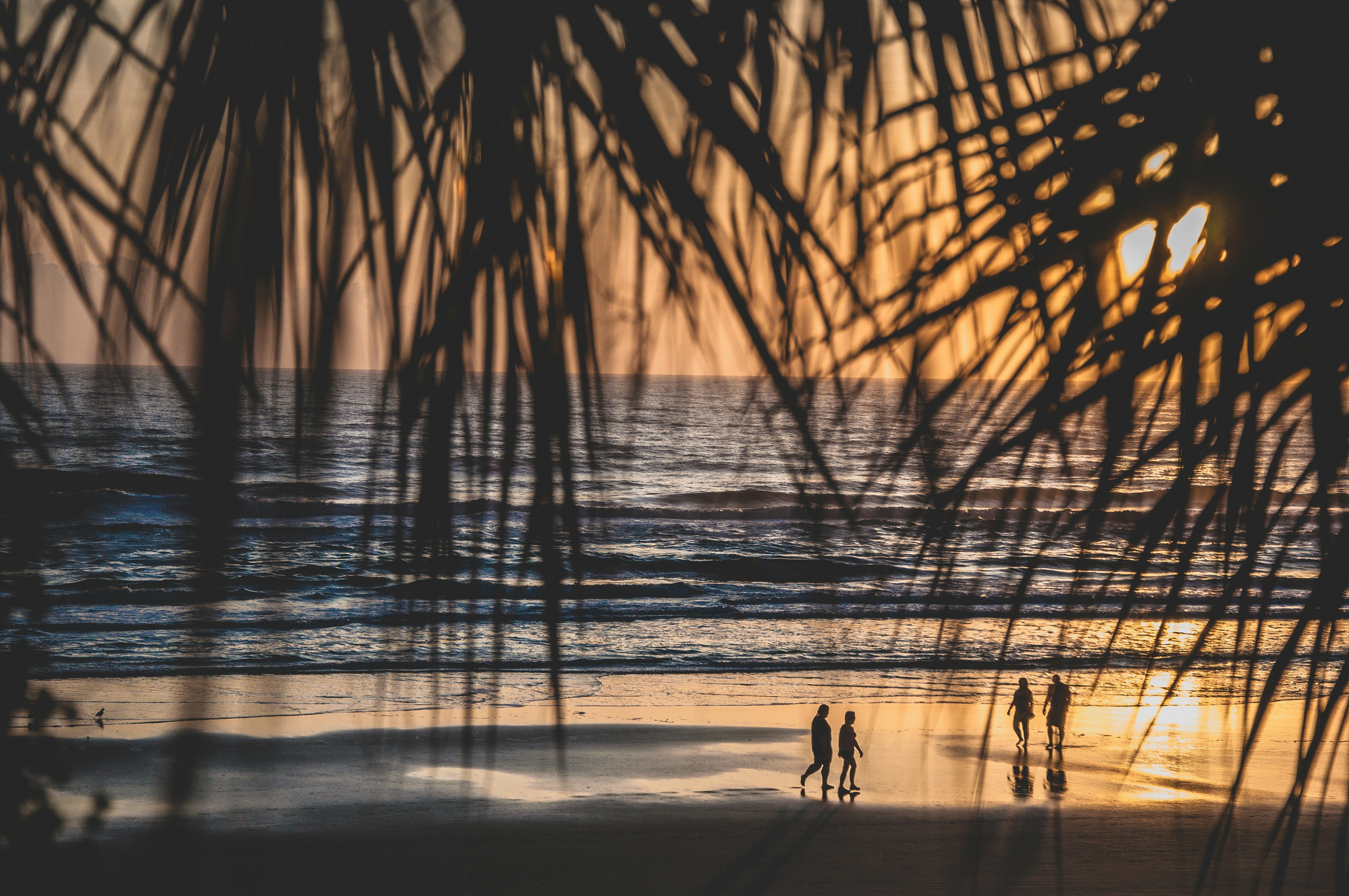silhouette of people walking on beach during sunset