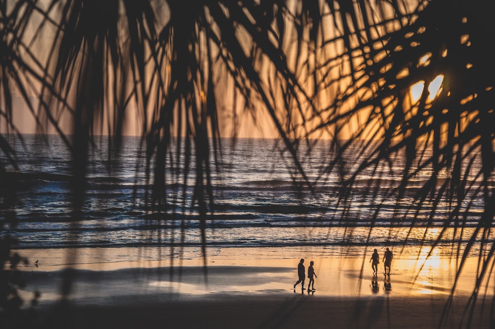 silhueta de pessoas que caminham na praia durante o pôr do sol