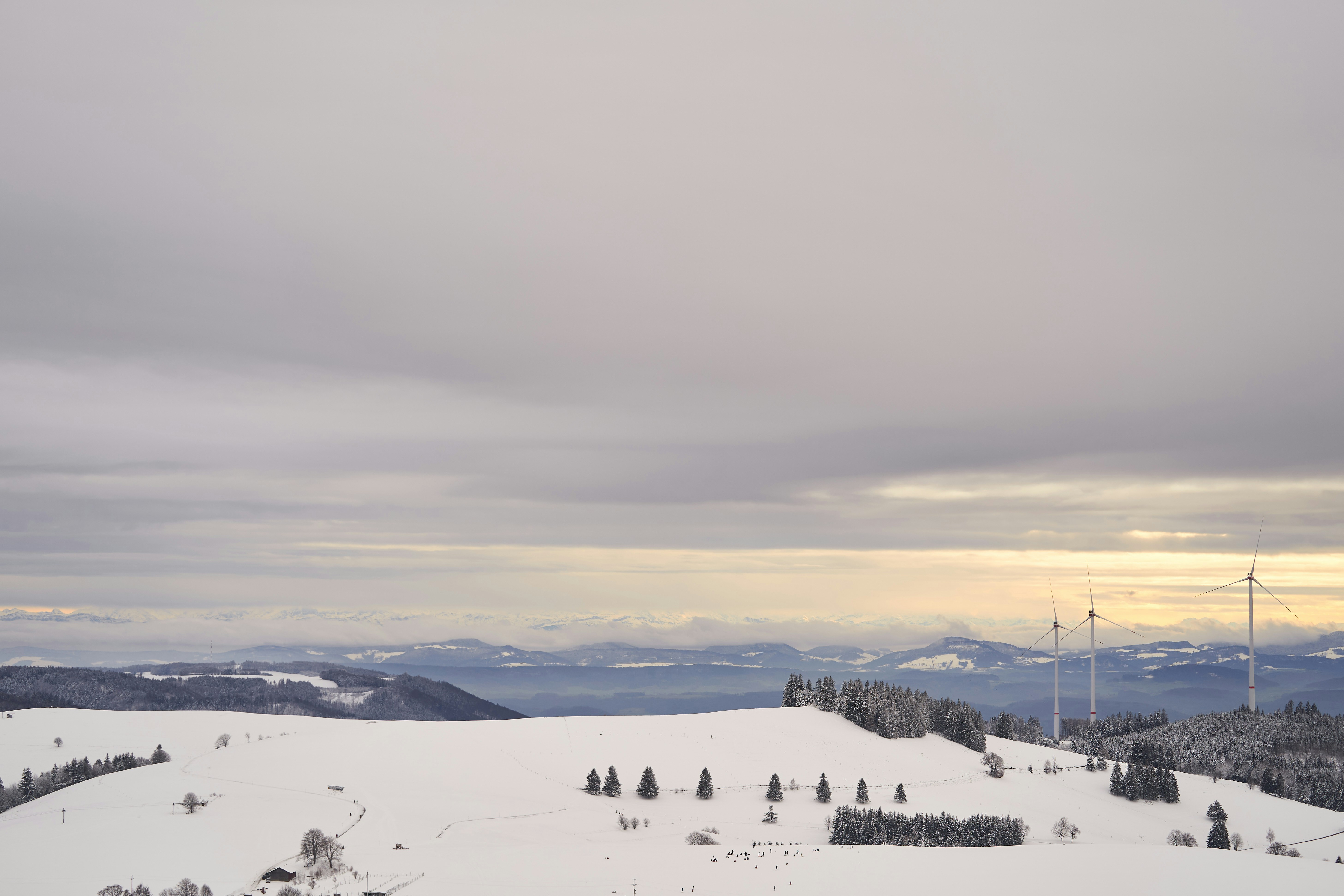 Photo by wolfgang_hasselmann