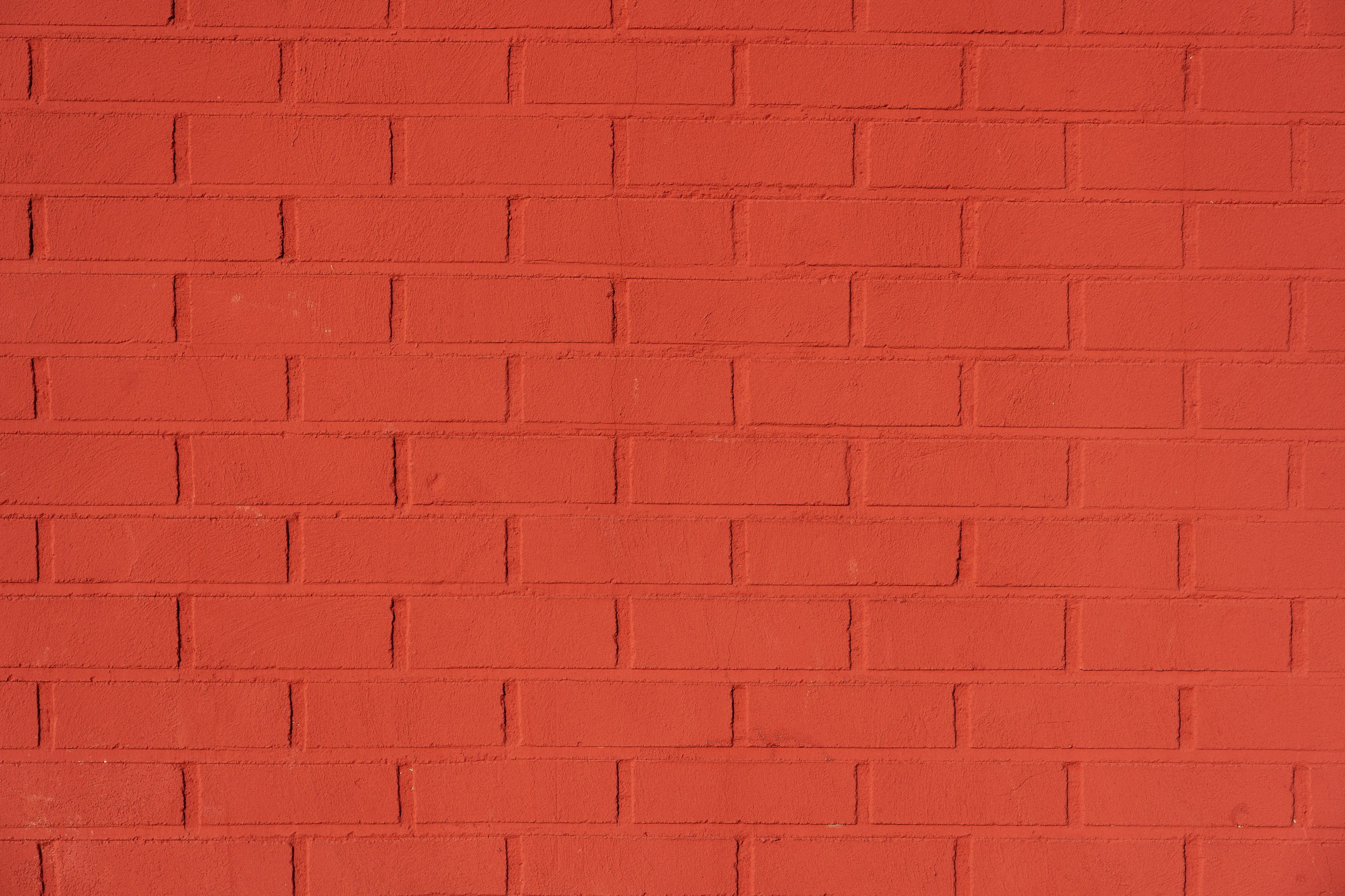 Photo by jannerboy62