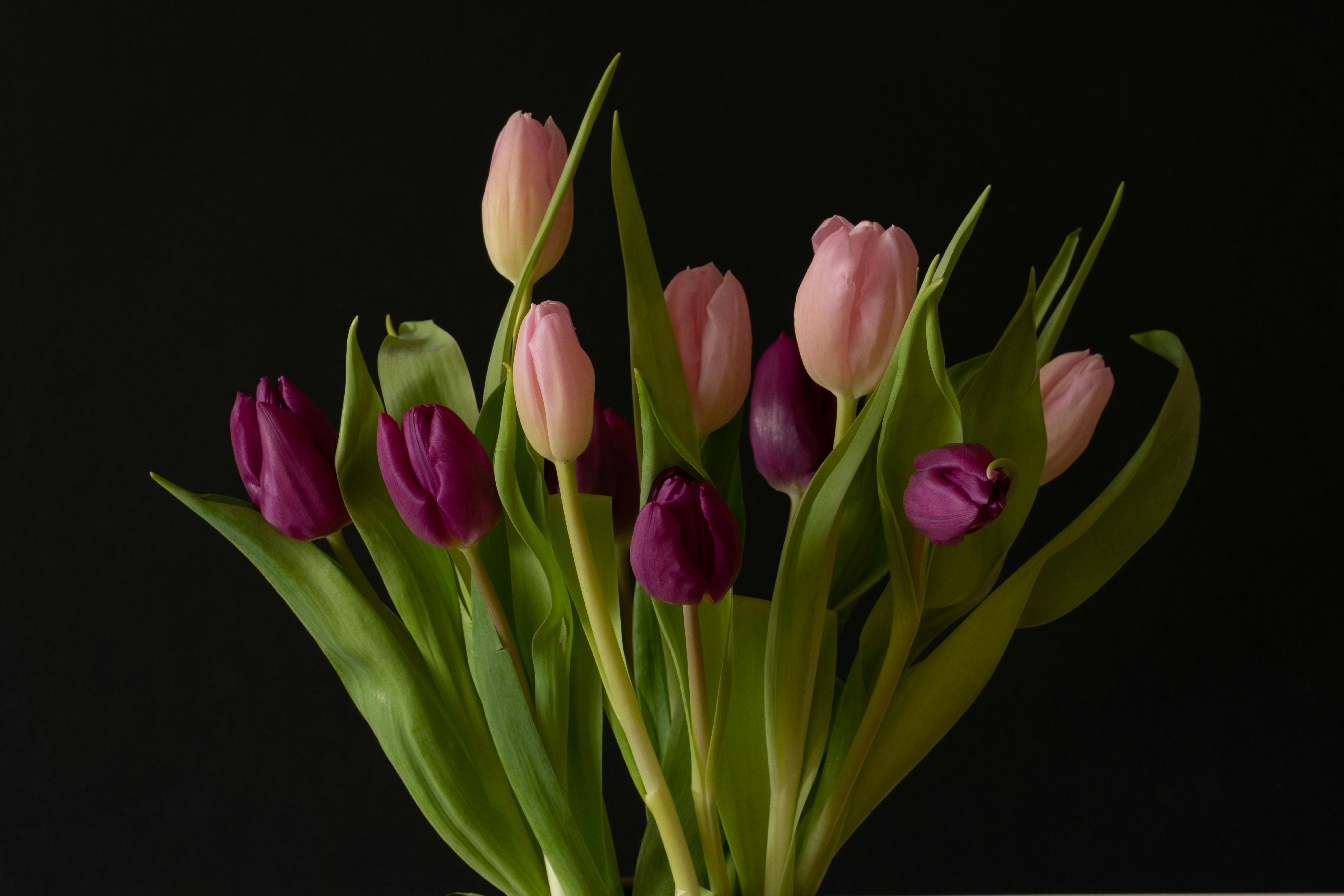 Photo by earl_plannerzone