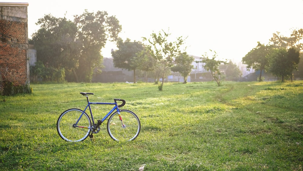 black and blue mountain bike on green grass field during daytime