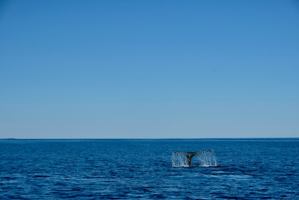 gray rock on sea under blue sky during daytime