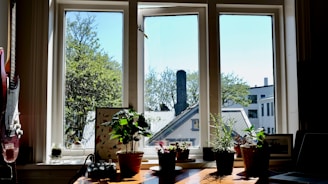 A cozy recording studio with dark wood and plants.