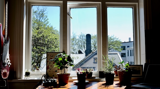 A cozy recording studio with dark wood and plants.