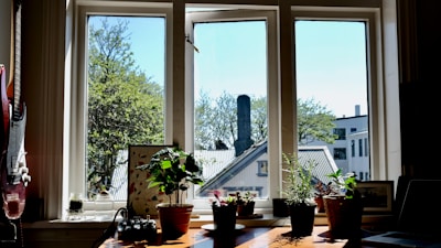 A cozy recording studio with dark wood accents and plants.