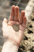 A friendly farmer holding a basket of fresh seeds in a sunlit field.