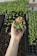 A hand holding a small cluster of young green seedlings with visible roots. The background consists of trays filled with soil and more seedlings, suggesting a nursery or greenhouse environment.