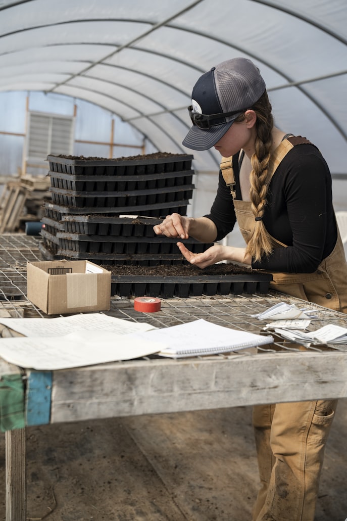 Young woman putting in seedlings in a seed bed on a table