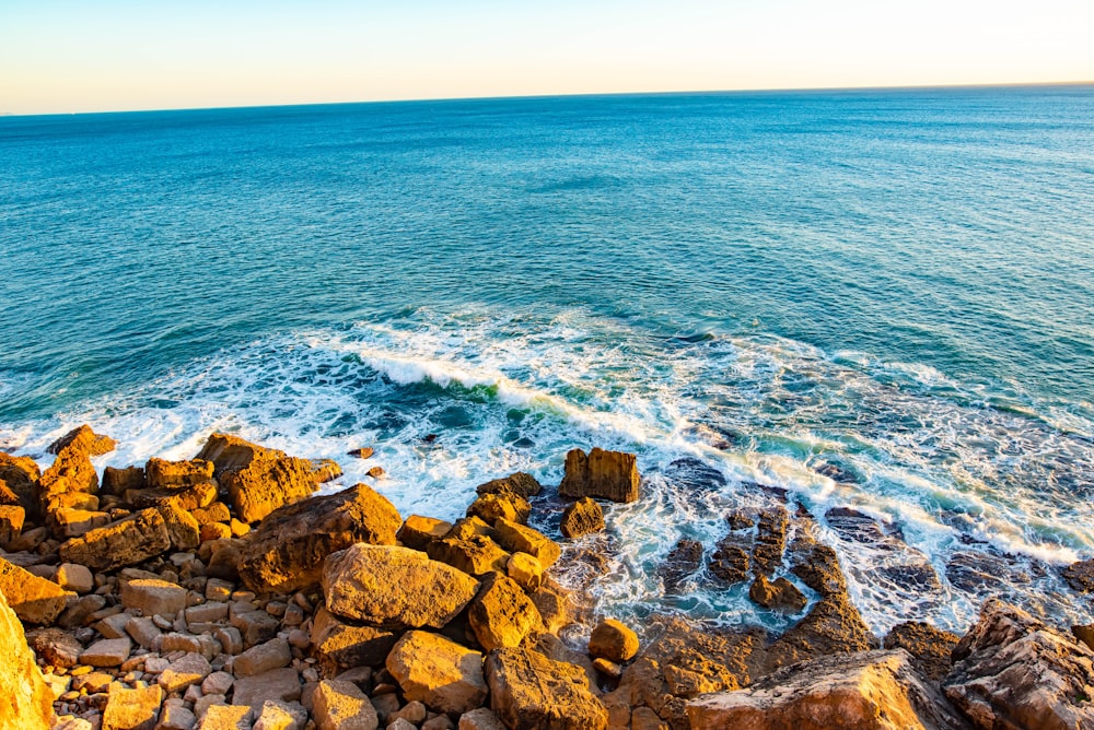 brown rocky shore during daytime