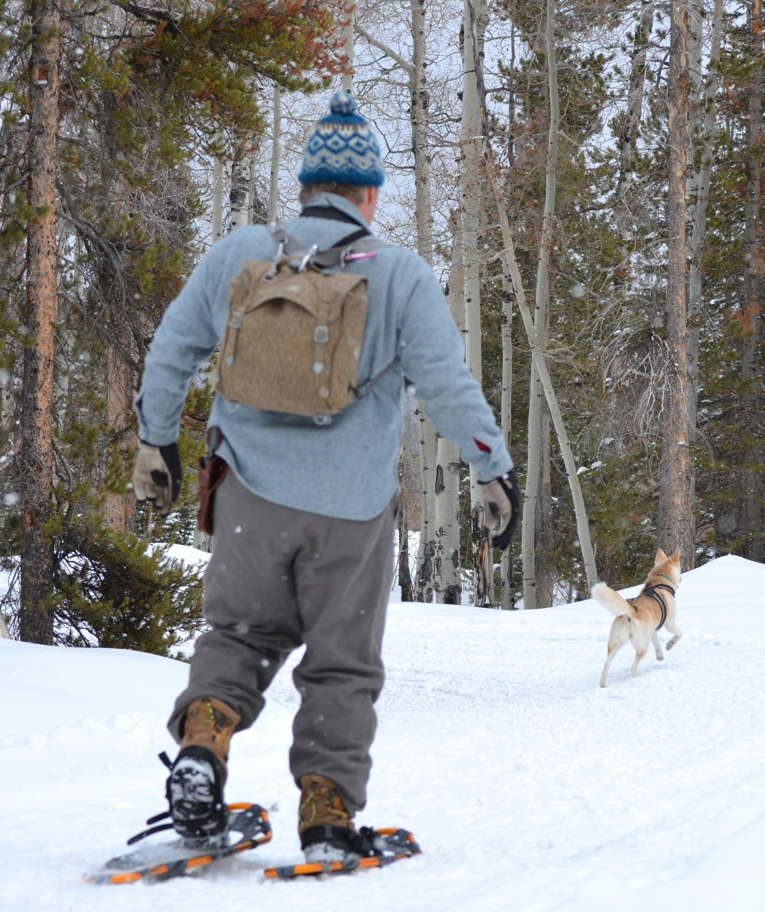 Photo by chipmunkrapidsmadman