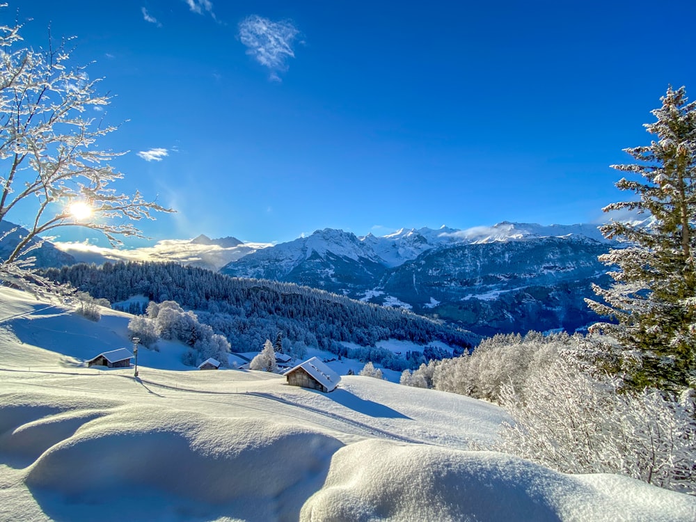 montanhas cobertas de neve sob o céu azul durante o dia