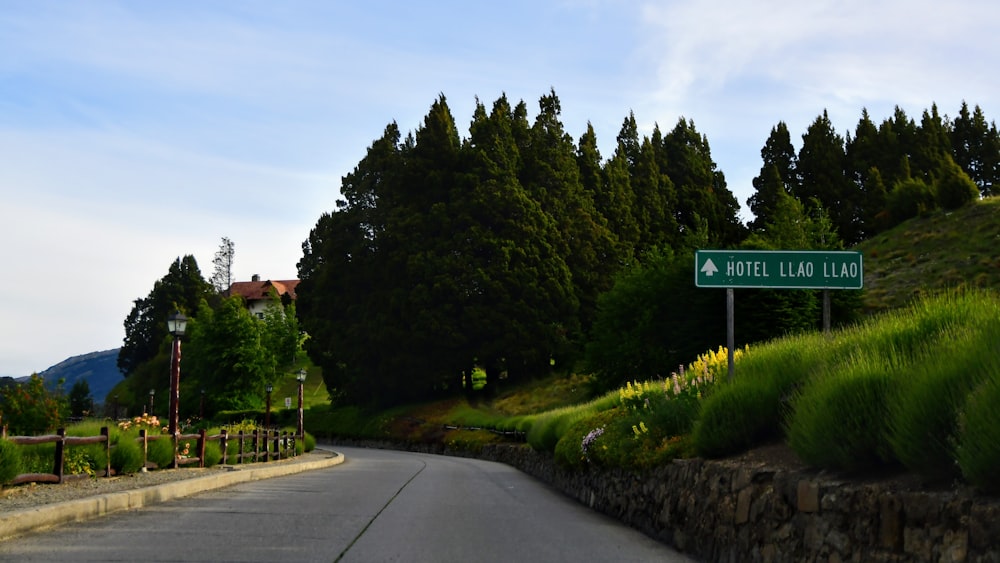 green trees beside gray concrete road