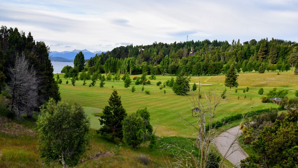 green grass field and trees under white clouds and blue sky during daytime