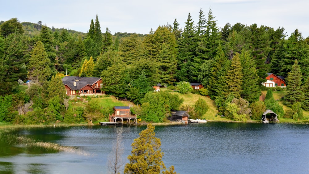 Casa marrone vicino agli alberi verdi e al lago durante il giorno