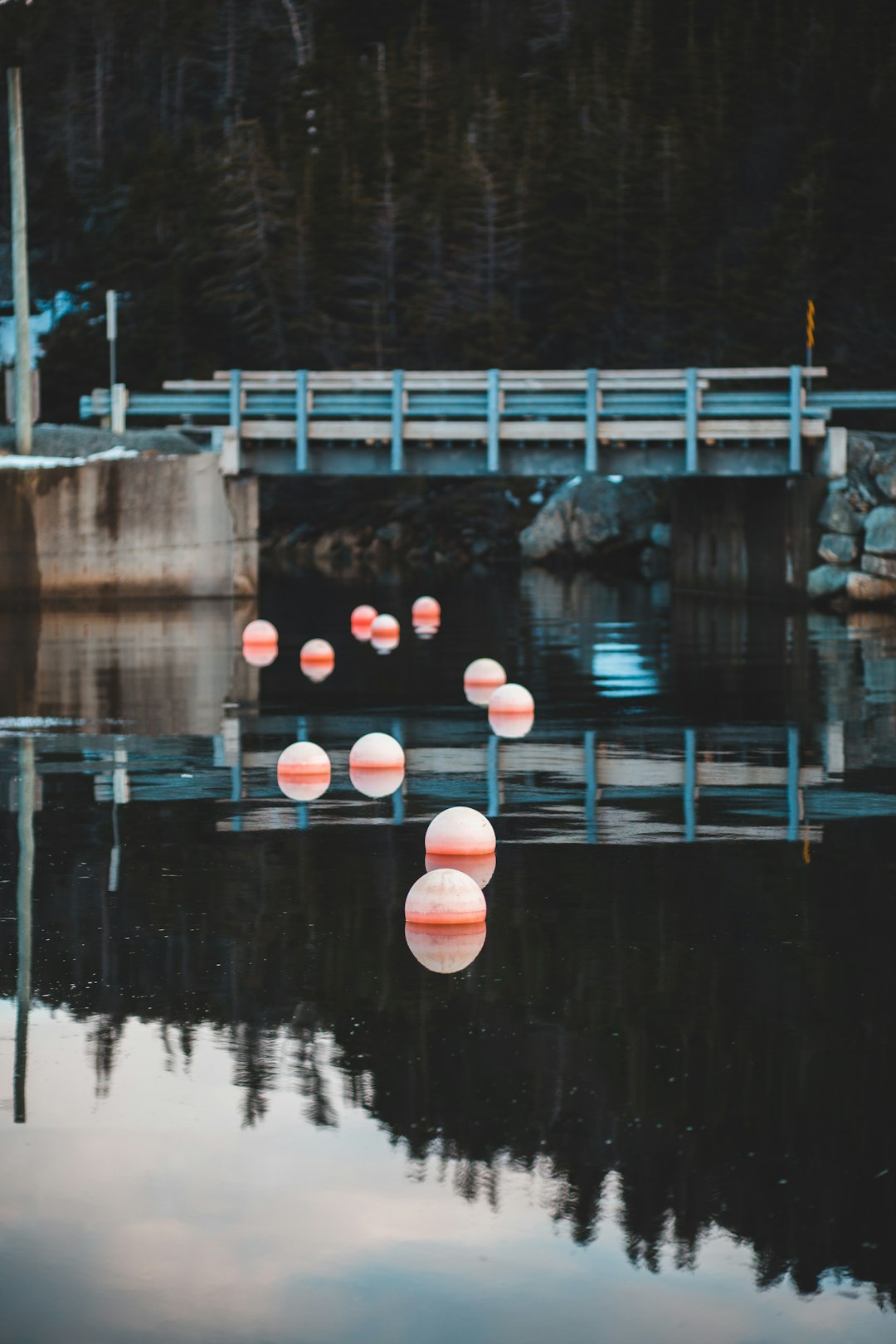 orange ball on water during daytime