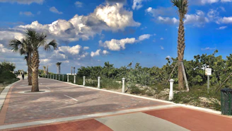 A freshly paved stone walkway bordered by lush greenery and colorful flowers.