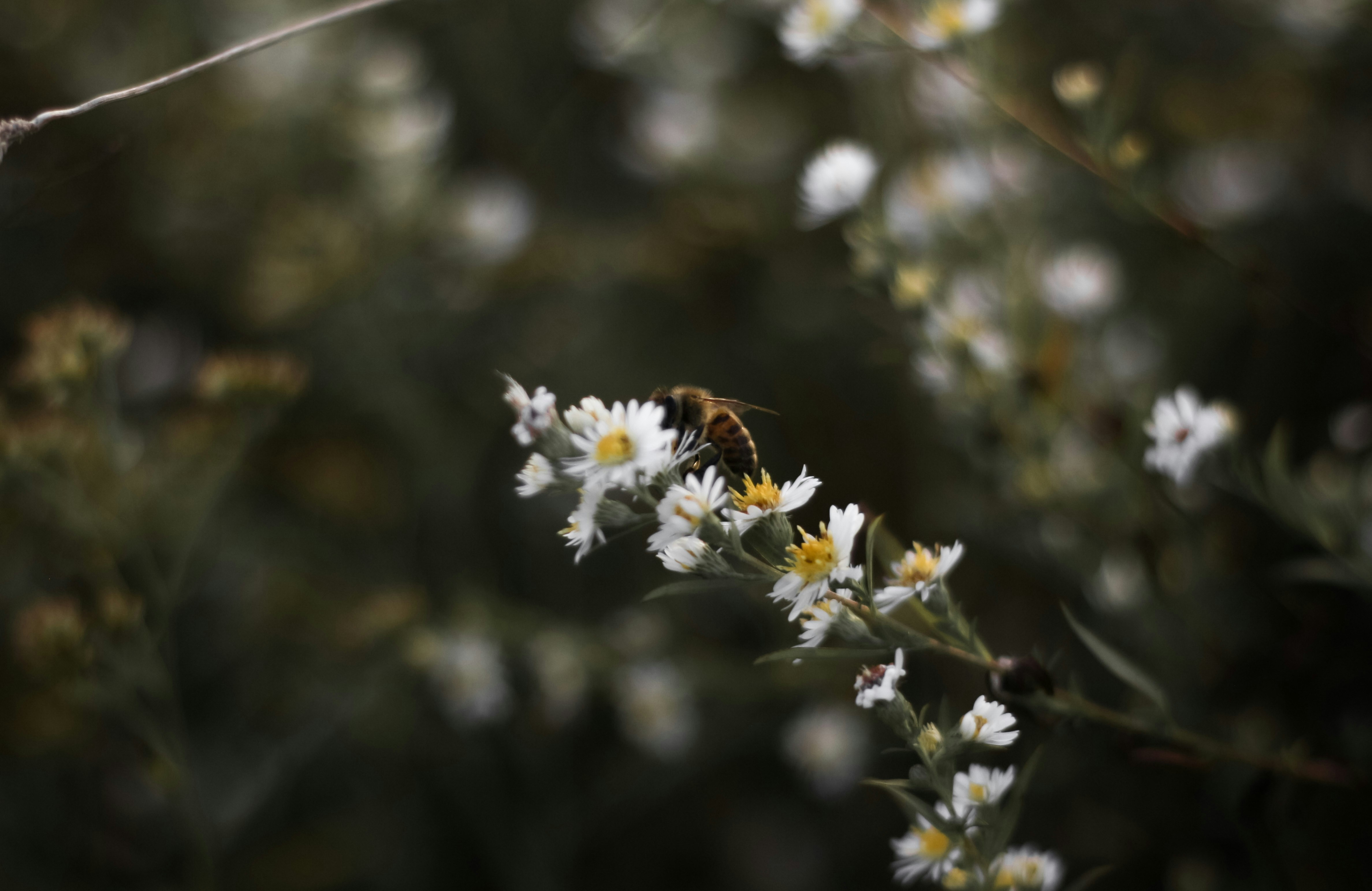 Photo by irelandrose