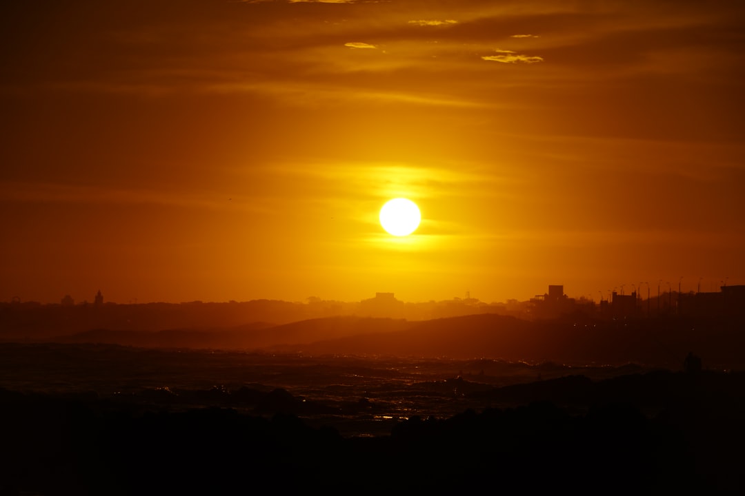 silhouette of trees during sunset