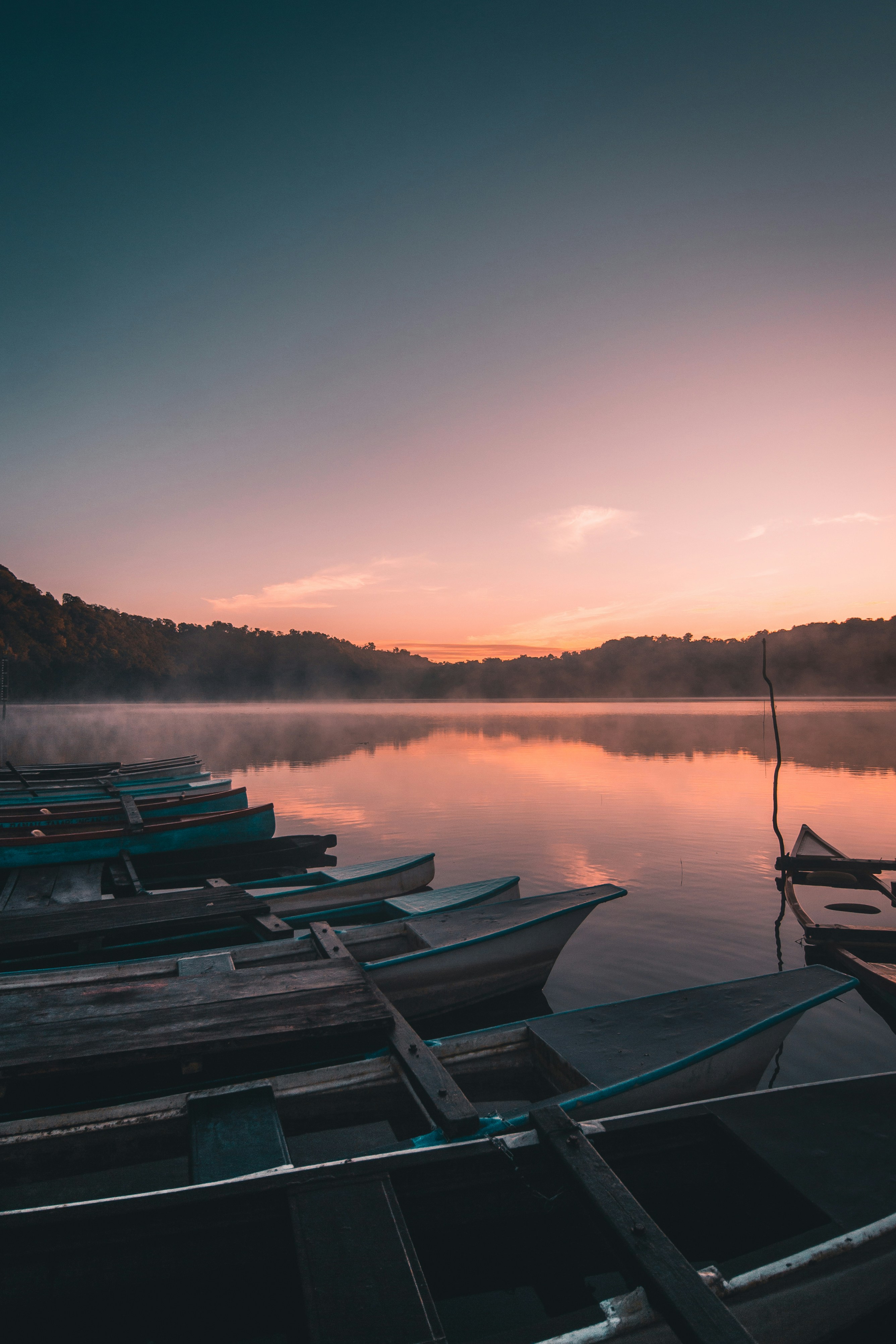 Forest sunrise camping, ilustrasi artikel Brew Bliss: Top Compact Coffee Makers for Early Morning Campers 4