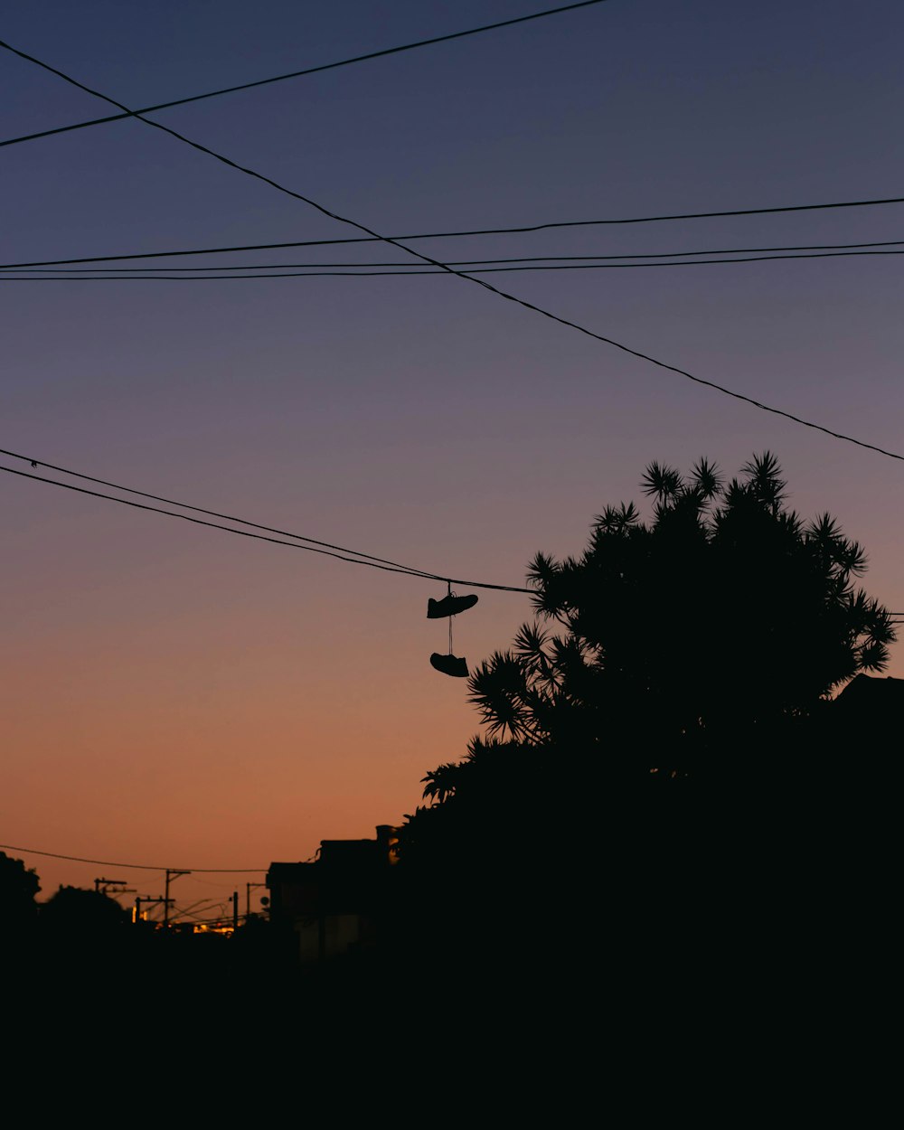 silhouette of trees and buildings during sunset