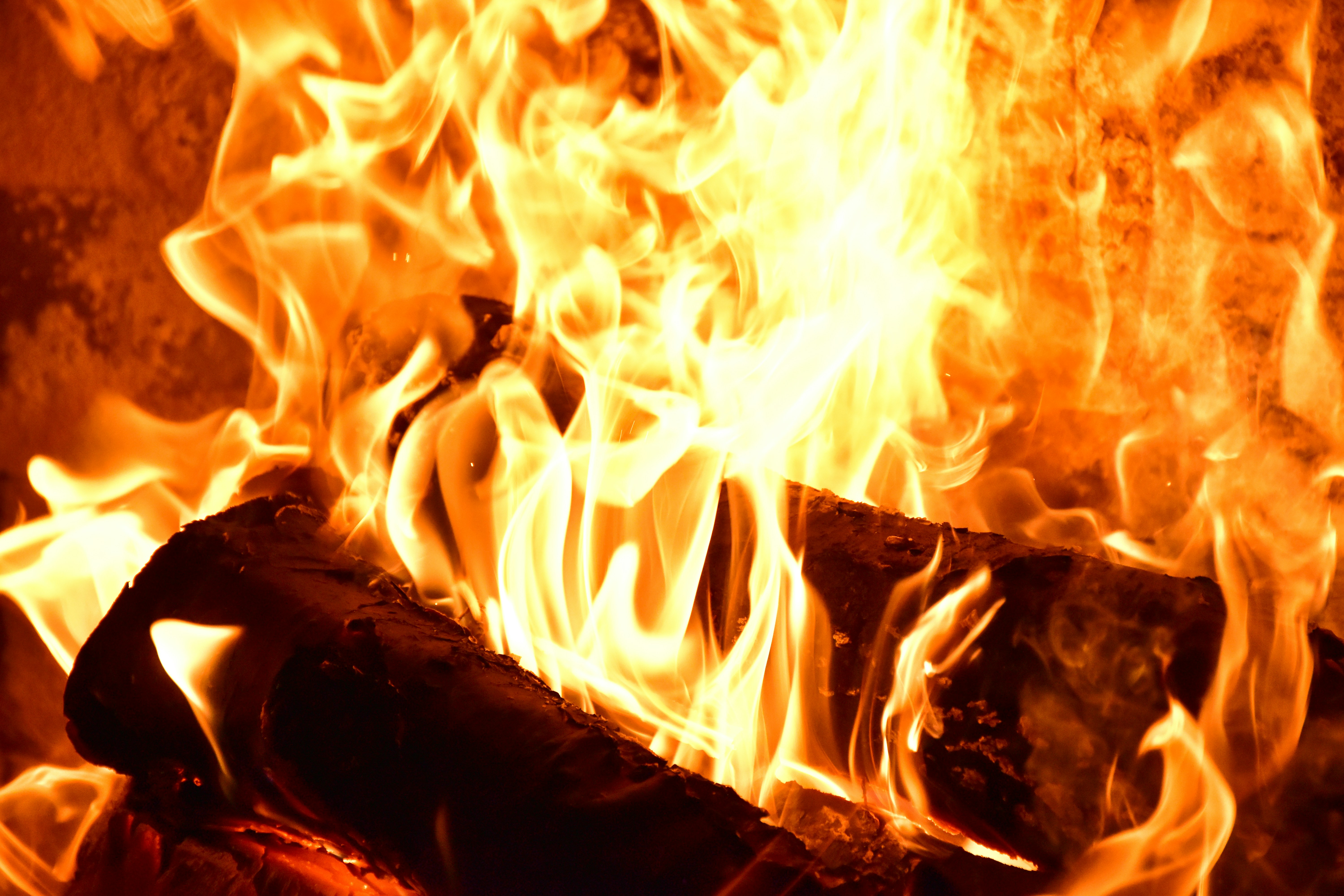 Photo by jasonmphoto