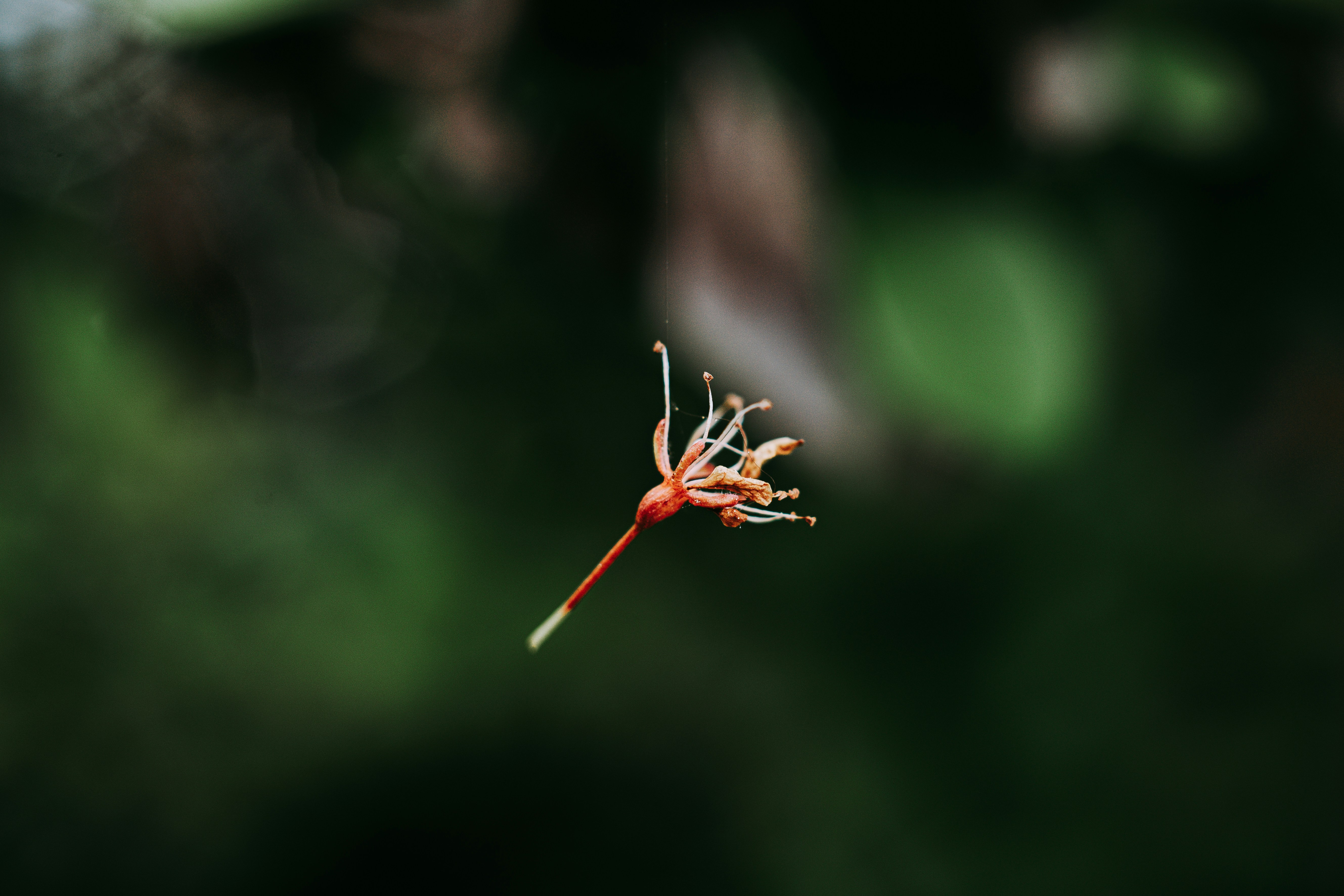 Photo by marcusurbenz