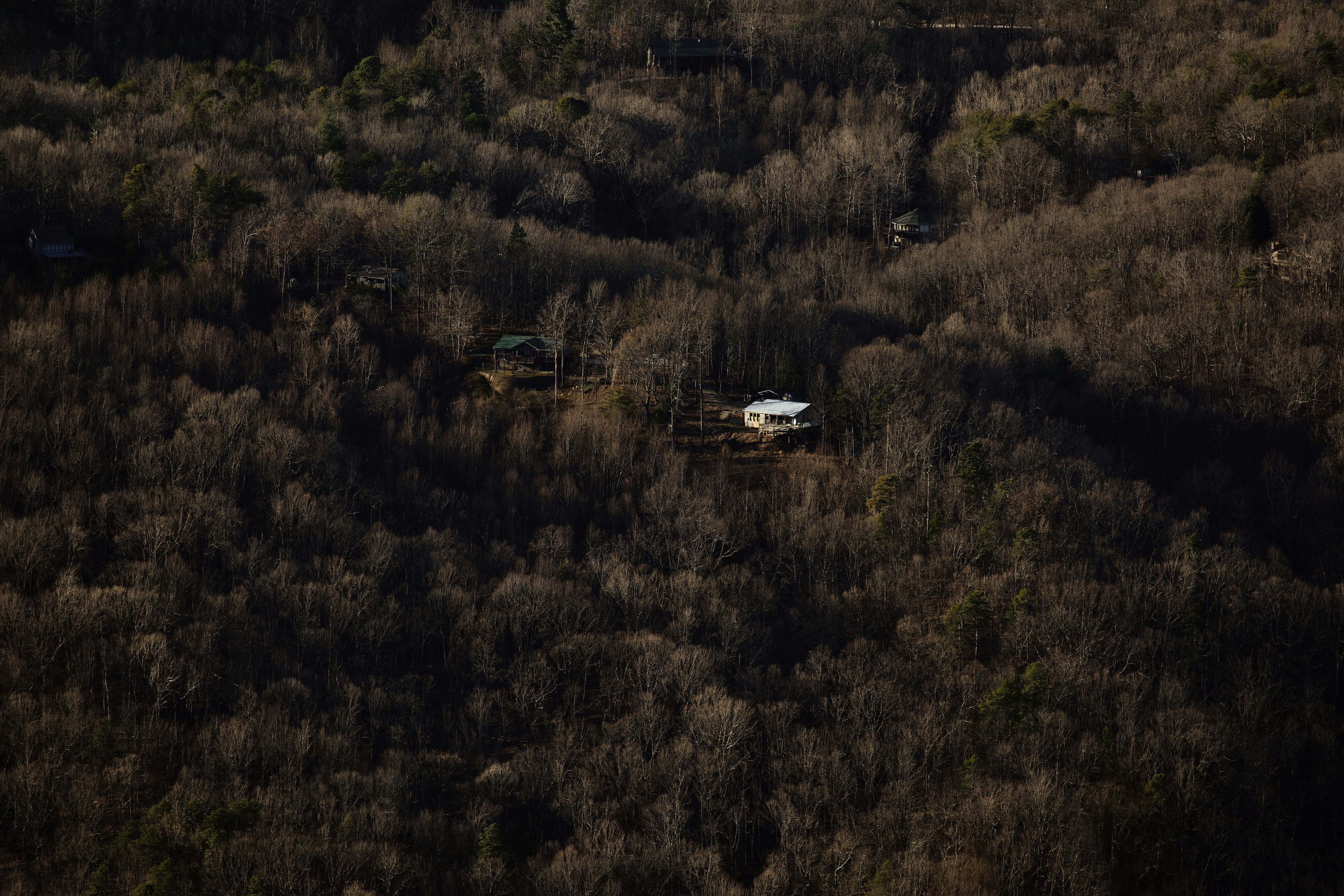 Photo by taylor_smith