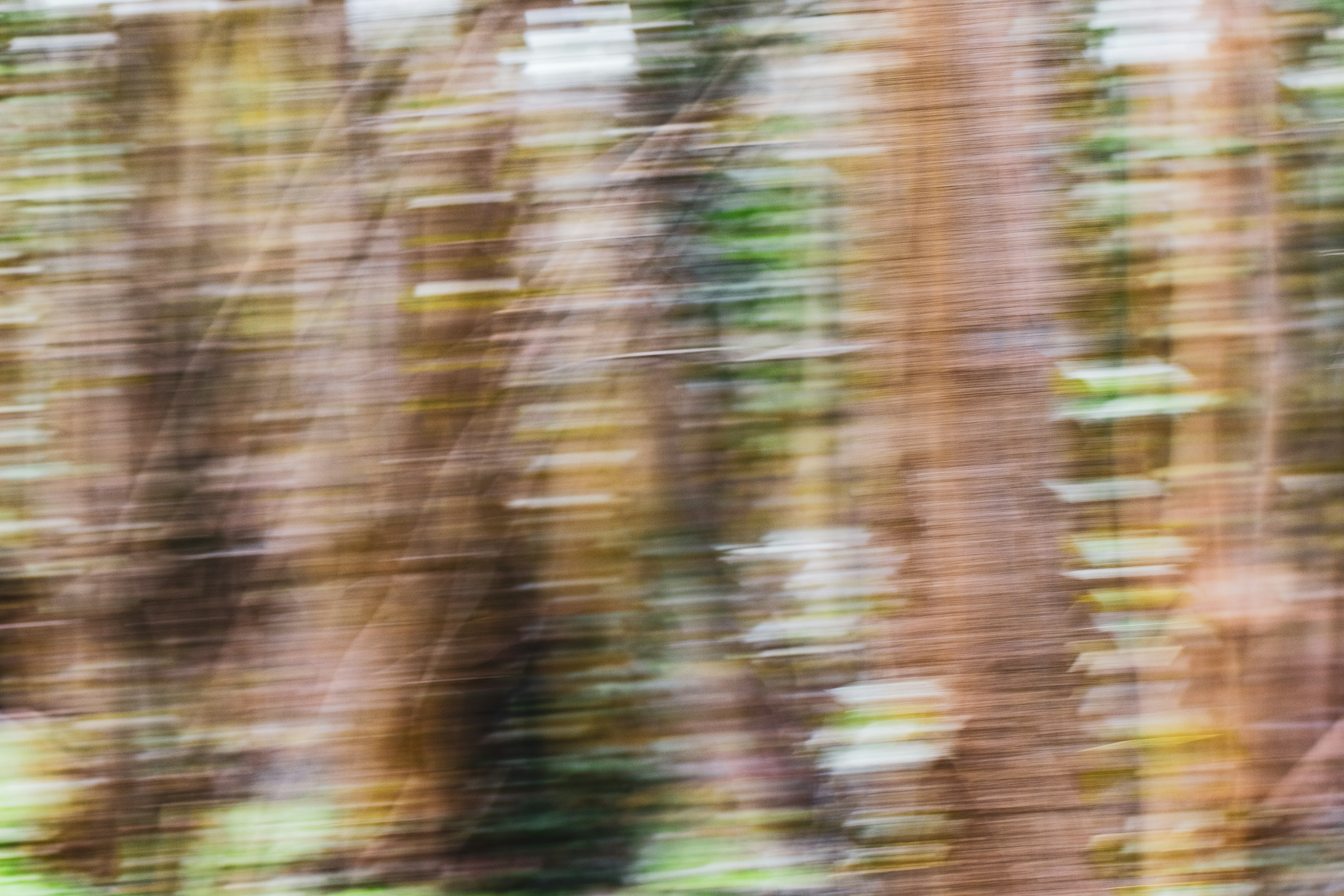 Photo by grievek1610begur