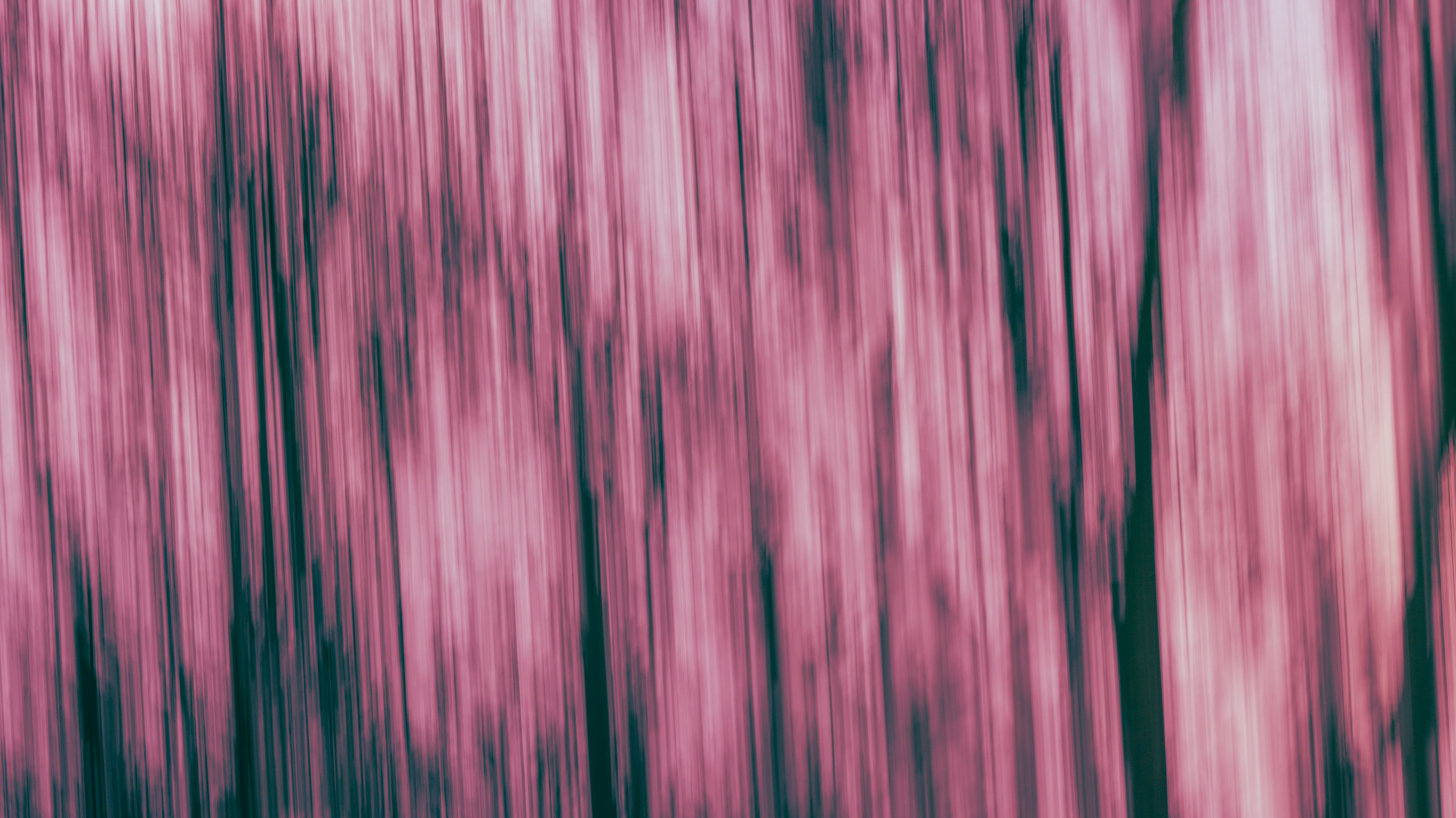 Photo by grievek1610begur