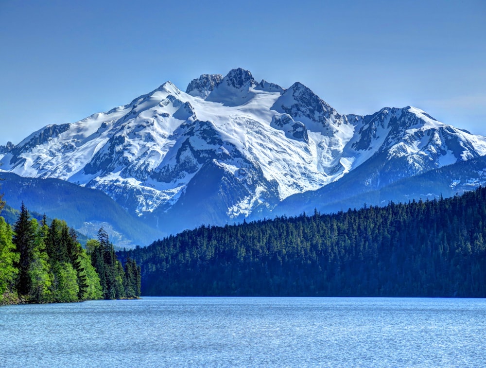 snow covered mountain near green trees during daytime