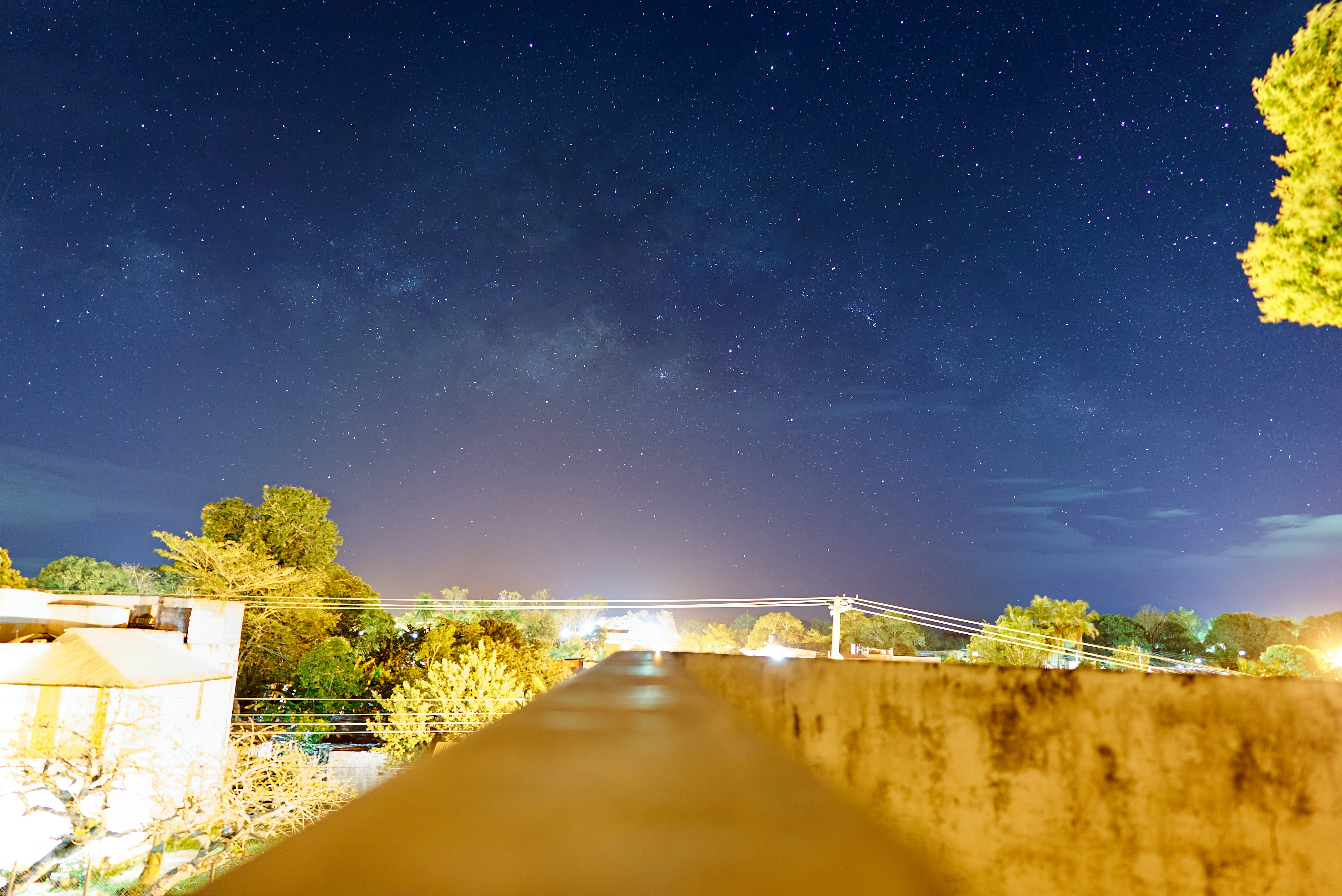 brown wooden dock near green trees under blue sky during daytime