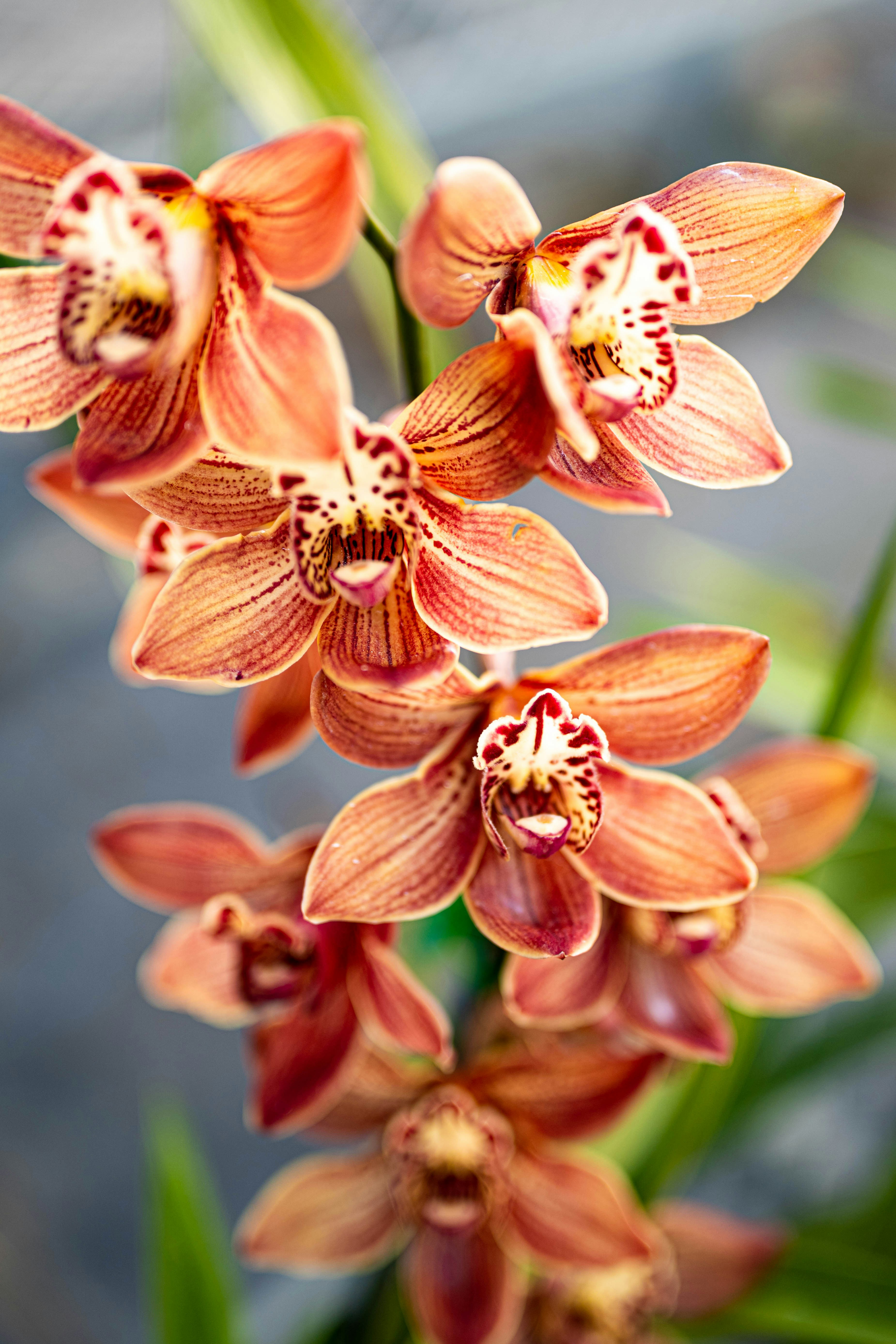 Photo by goldencoastgrams