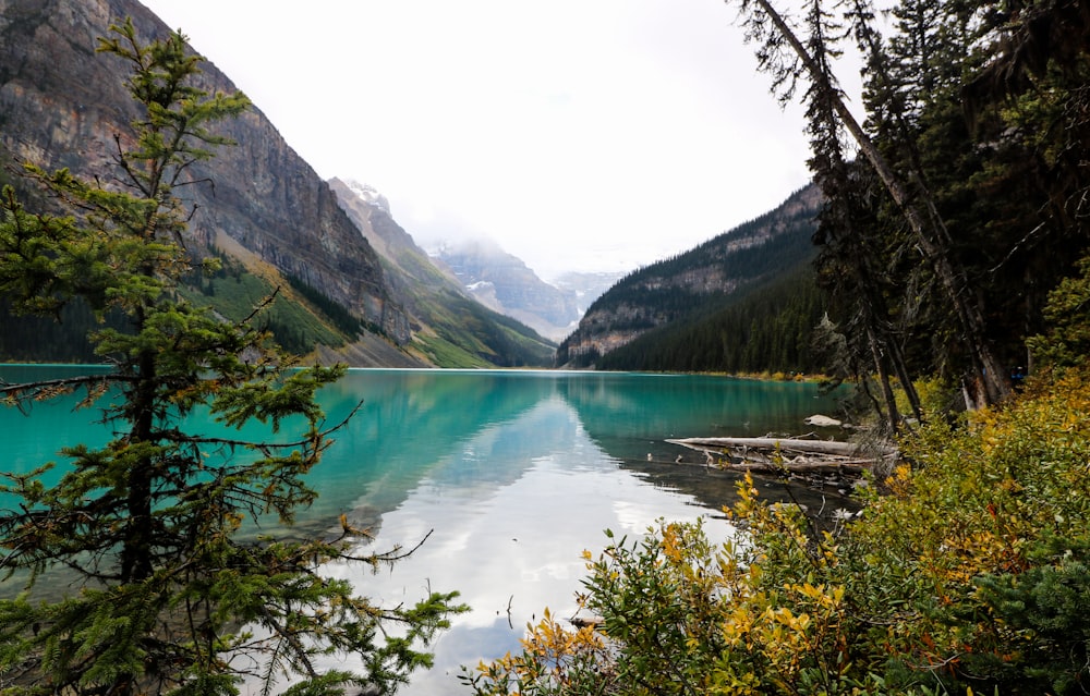 Lago verde circondato da alberi verdi e montagne durante il giorno