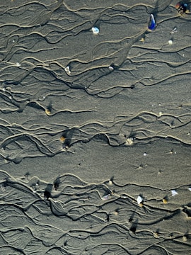 Wet sand with intricate, winding patterns and small scattered shells and pebbles. The sand appears smooth and carefully etched by natural forces, creating a dynamic and artistic texture.