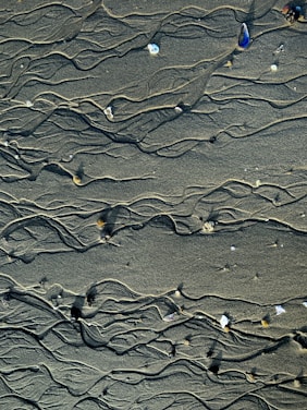 Wet sand with intricate, winding patterns and small scattered shells and pebbles. The sand appears smooth and carefully etched by natural forces, creating a dynamic and artistic texture.