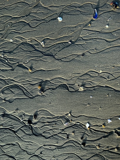 Wet sand with intricate, winding patterns and small scattered shells and pebbles. The sand appears smooth and carefully etched by natural forces, creating a dynamic and artistic texture.