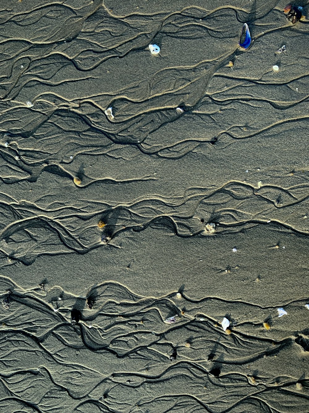 gray sand with footprints during daytime