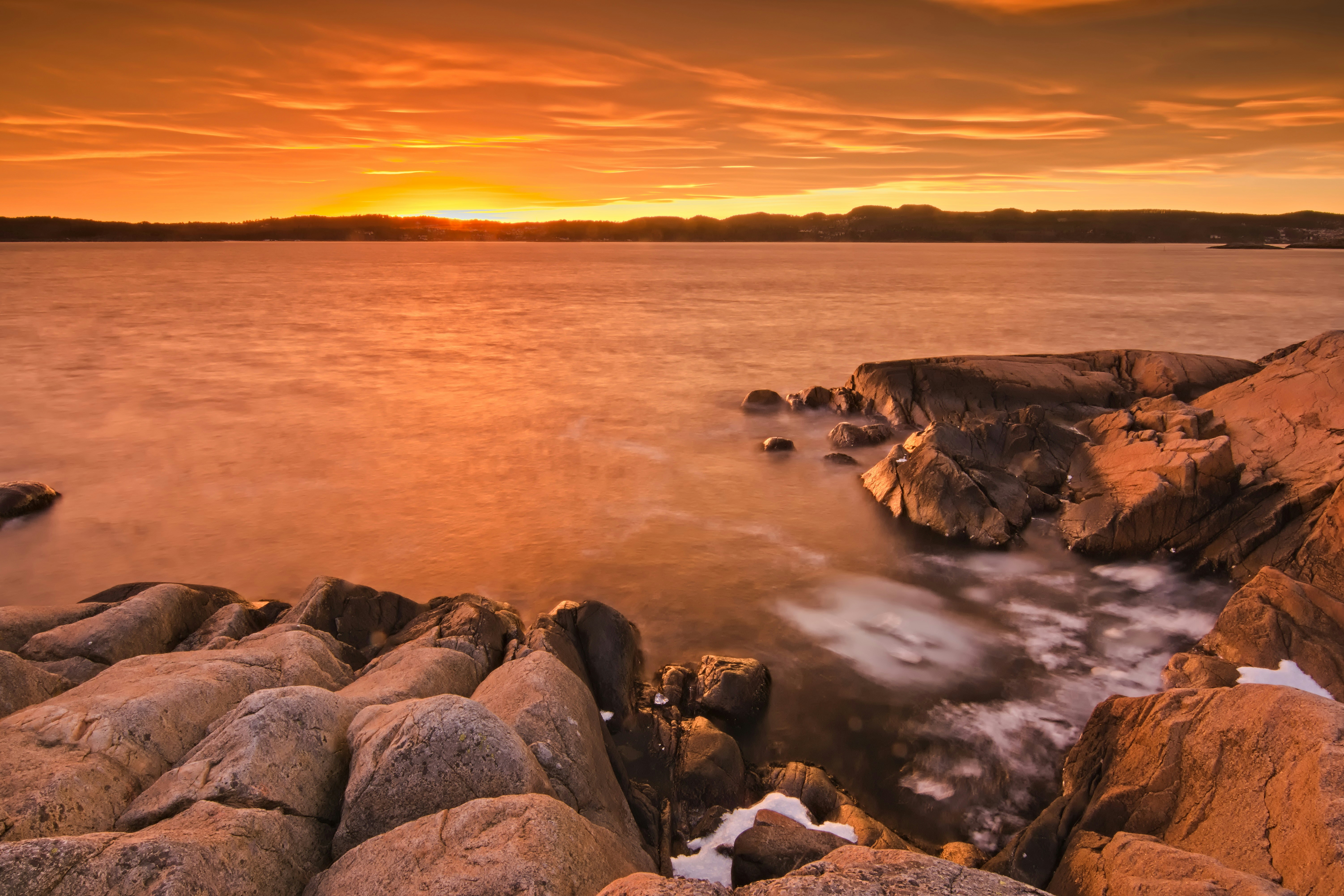 Photo by dariuszpi